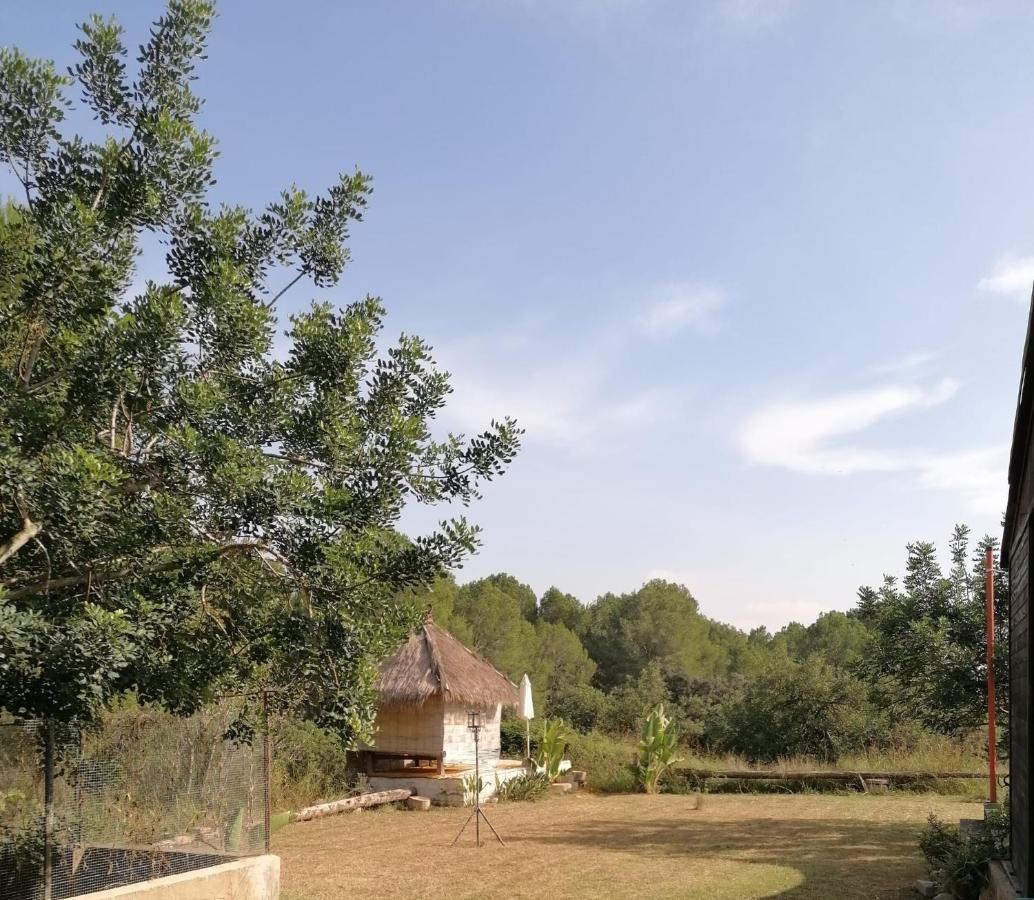 Chilliman & Mas Miro Biofarm Casa di campagna